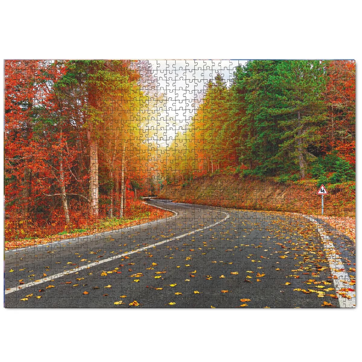 Пъзел Dodo 1000 елемента - Autumn forest — снимка 1