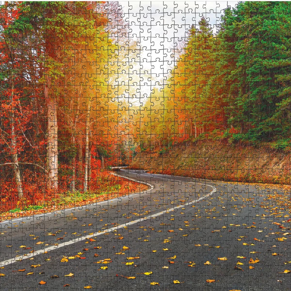 Пъзел Dodo 1000 елемента - Autumn forest — снимка 3