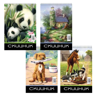 Корица на „Скицник за рисуване Фисто-А4-спирала - 15 листа"