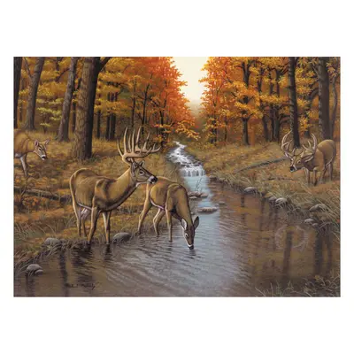 Корица на „Рисуване по номера Royal & Langnicke А3-елени"