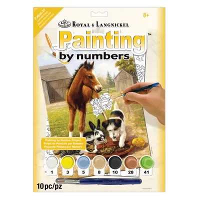 Корица на „Рисуване по номера Royal & Langnicke А4-Конче“