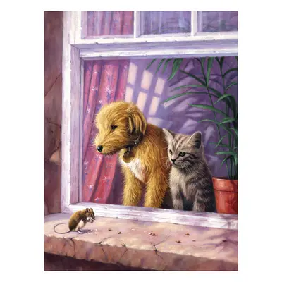 Корица на „Рисуване по номера Royal & Langnicke А4-Куче,кот"