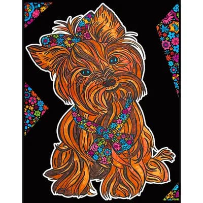 Корица на „Картина за рисуване ColorVelvet - Йоркшир"
