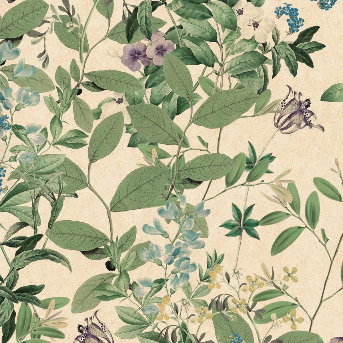 Опаковъчна хартия Zoewie-70 x 200 - Nature Love — снимка 4