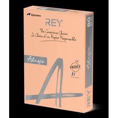Корица на „Копирна хартия REY Adagio, A4, 80 г, пастелен цвят Salmon (91), пакет 500 л."