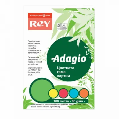 Корица на „Копирна хартия REY Adagio, A4, 80 г, микс 5 наситени цвята, пакет 100 л."