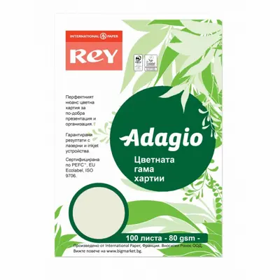 Корица на „Копирна хартия REY Adagio, A4, 80 г, пастелен цвят Pistachio (33), пакет 100 л."