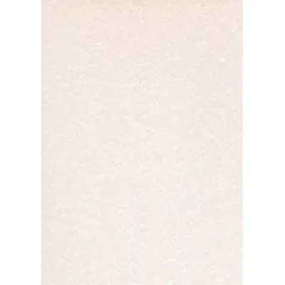 Корица на „Дизайн хартия DECAdry Structure тип пергамент, А4, 95 г, слонова кост, 25 л."
