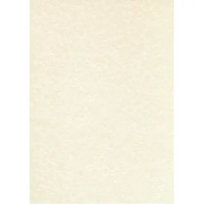 Корица на „Дизайн хартия DECAdry Structure тип пергамент, А4, 95 г, шампанско, 25 л."