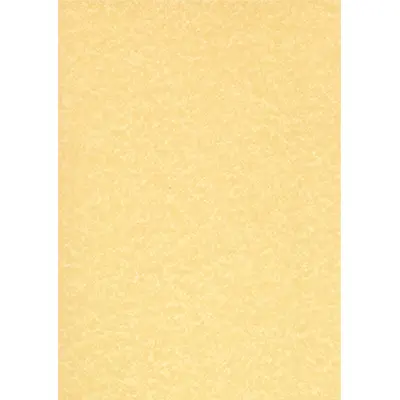 Корица на „Дизайн хартия DECAdry Structure тип пергамент, А4, 95 г, златиста, 25 л."