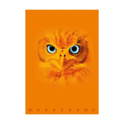 Корица на „Тетрадка PIGNA Monocromo Orange, А4, 40 л., линиран офсет 100 г, корица 240 г, мат ламинат, UV лак"