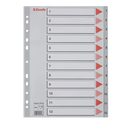 Корица на „Разделител Esselte, 1-12, PP 120 mic, A4, сив, подсилена европерфорация, лицева страница"