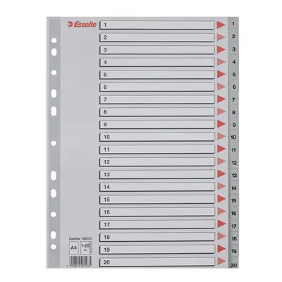 Корица на „Разделител Esselte, 1-20, PP 120 mic, A4, сив, подсилена европерфорация, лицева страница"