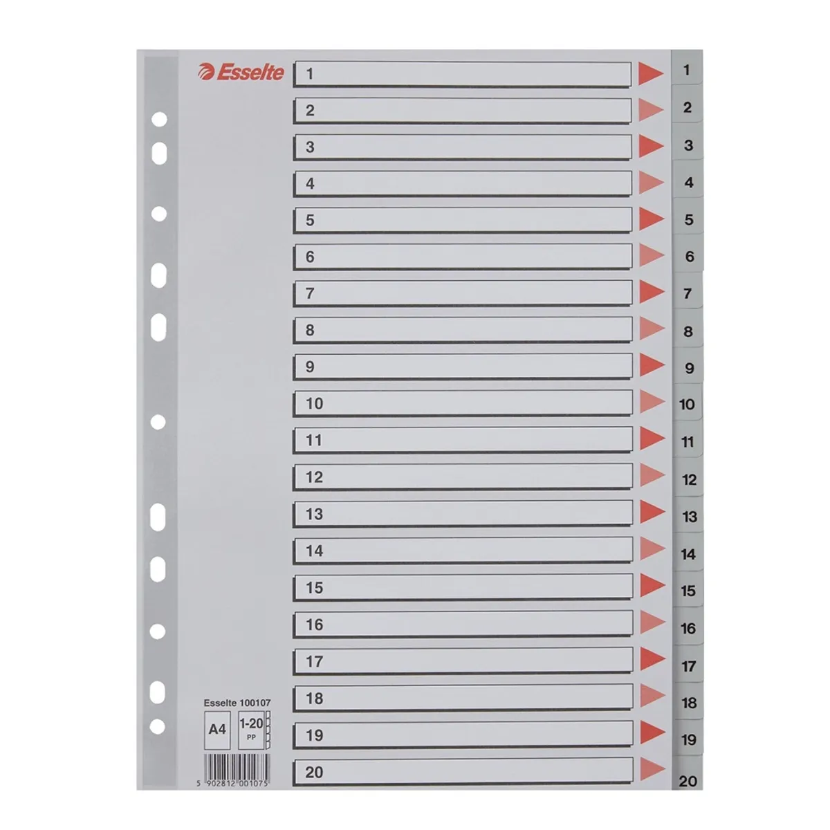 Разделител Esselte, 1-20, PP 120 mic, A4, сив, подсилена европерфорация, лицева страница