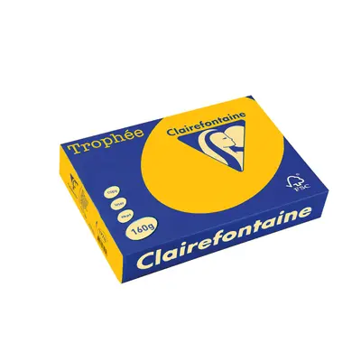 Корица на „Картон коп.цв., А4, 160 г/м2, Gold Trophee"