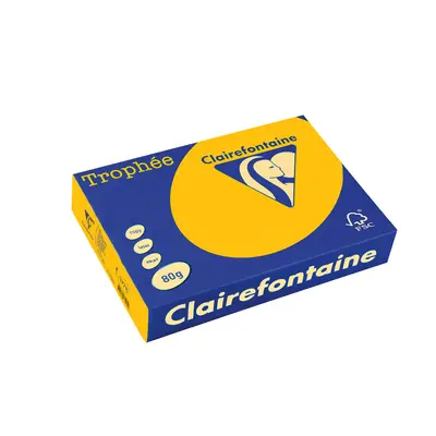 Корица на „Хартия коп.цв., А3, 80 г/м2, Gold Trophee"