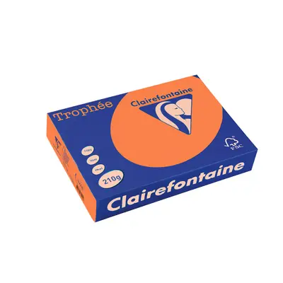 Корица на „Картон коп.цв., А4, 210 г/м2, Int.Flame Trophee"