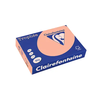 Корица на „Хартия коп.цв., А4, 80 г/м2, Apricot Trophee"