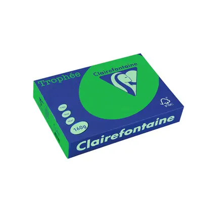 Корица на „Картон коп.цв., А4, 160 г/м2, Int.Billiard Green Trophee"