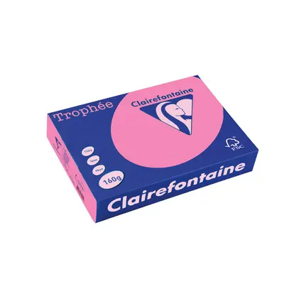 Корица на „Картон коп.цв., А4, 160 г/м2, Wild Rose Trophee"