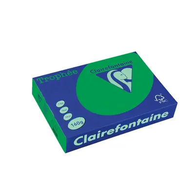 Корица на „Картон коп.цв., А4, 160 г/м2, Int.Forest Green Trophee"