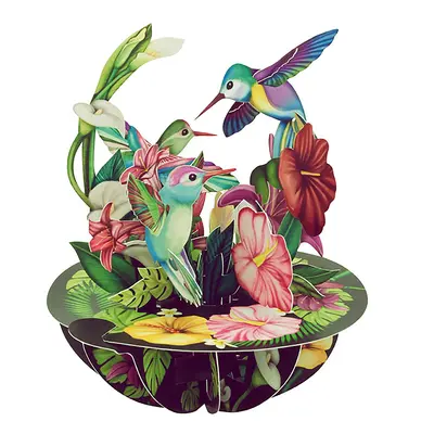 Корица на „Картичка Humming Birds, Pirouettes"