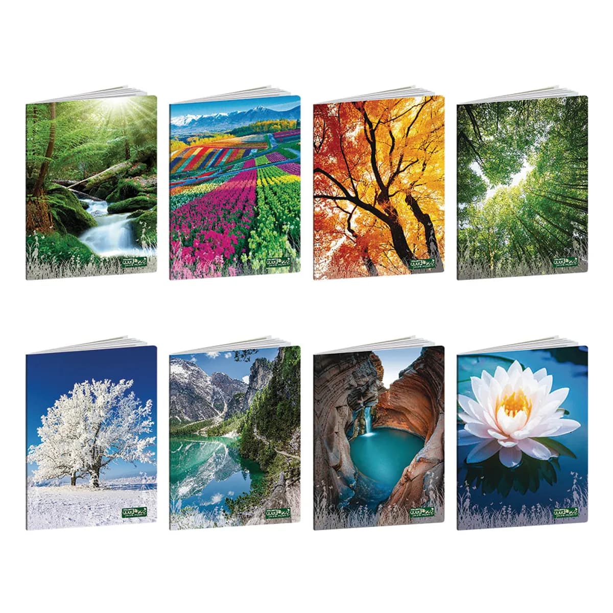 Тетрадка А4 FSC UV Quad Eco, 40+2 л.5x5, 80 г/м2