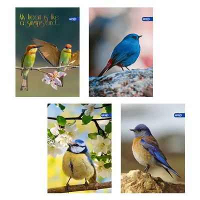 Корица на „Тетрадка А5, мат/UV Birds, 60+2 л.ред, 70 г/м2"