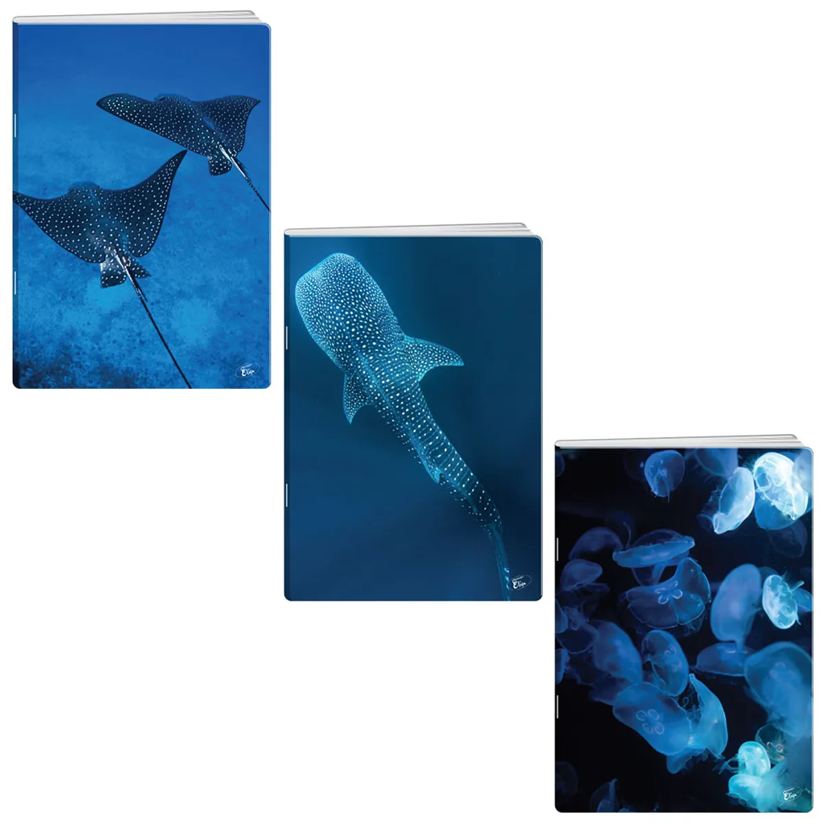 Тетрадка A5 мат/UV Deep blue, 60+2 л.ред, 70 г/м2