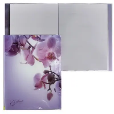 Корица на „Папка ErichKrause® Romantique 40 джоба, A4“