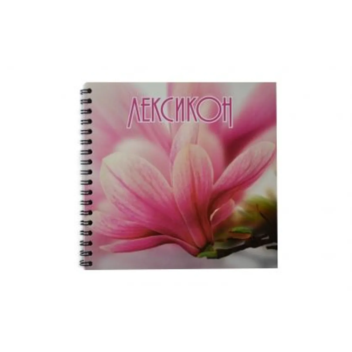 Лексикон с МЕКИ корици, 60стр. — снимка 3