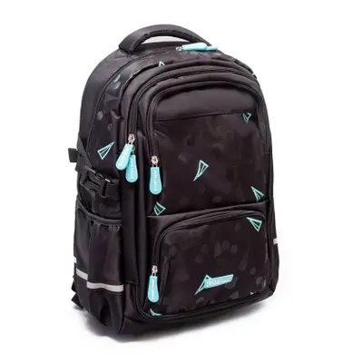 Корица на „Раница ErichKrause® SchoolLine Black Style, 23L"