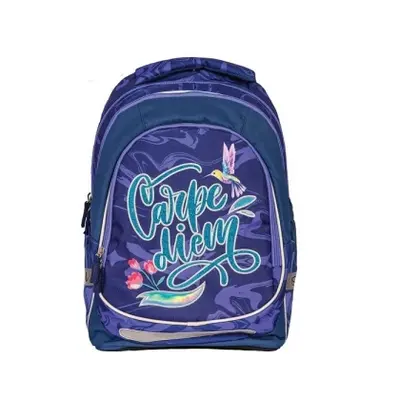 Корица на „Анатомична раница SCOOL® LIGHT CARPE DIEM, 19L“
