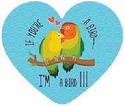Корица на „Табелка-картичка сърце: If you're a bird - I'm a bird"