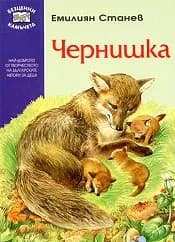 Корица на „Чернишка“