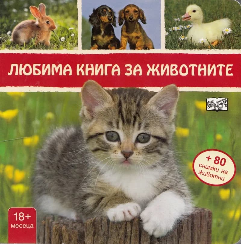 Корица на „Любима книга за животните - коте“