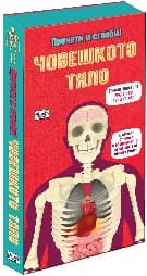Корица на „Прочети и сглоби!: Човешкото тяло + макет" — Ричард Уокър