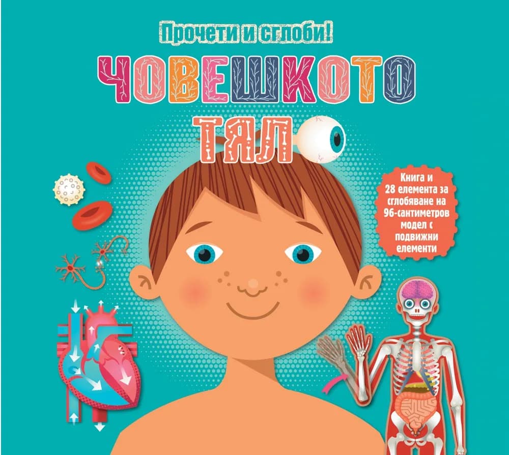Корица на „Човешкото тяло - прочети и сглоби обемен пъзел“