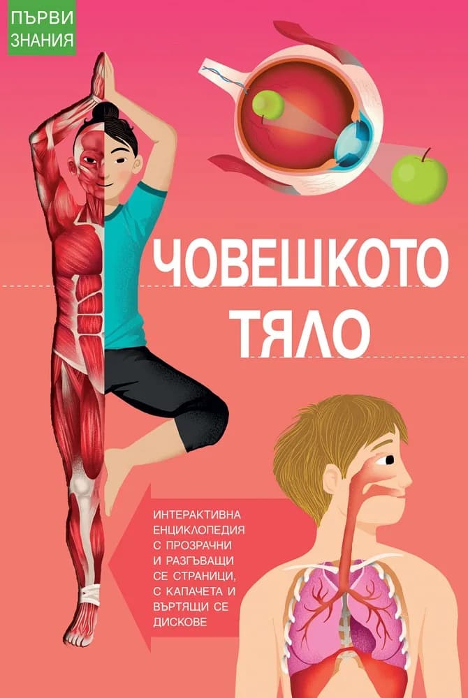Корица на „Първи знания - Човешкото тяло“
