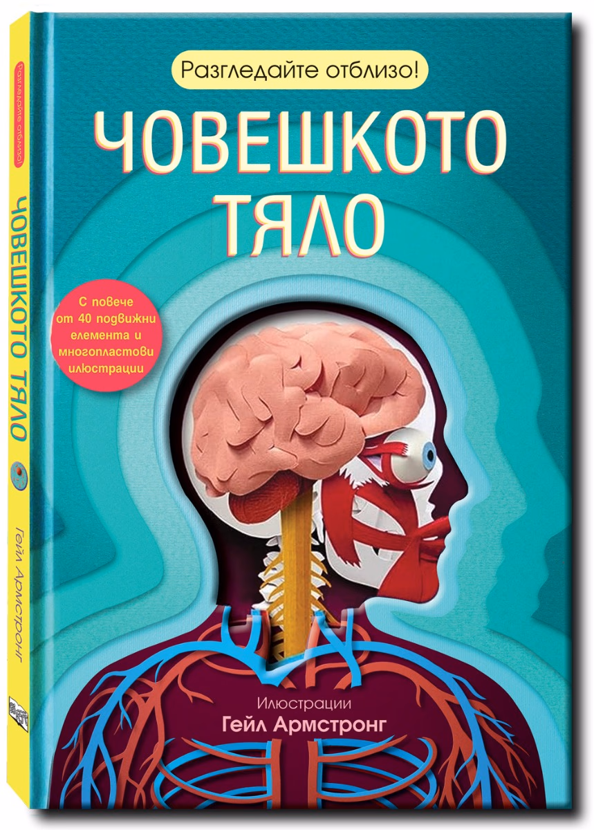 Корица на „Разгледайте отблизо: Човешкото тяло" — Рут Саймънс