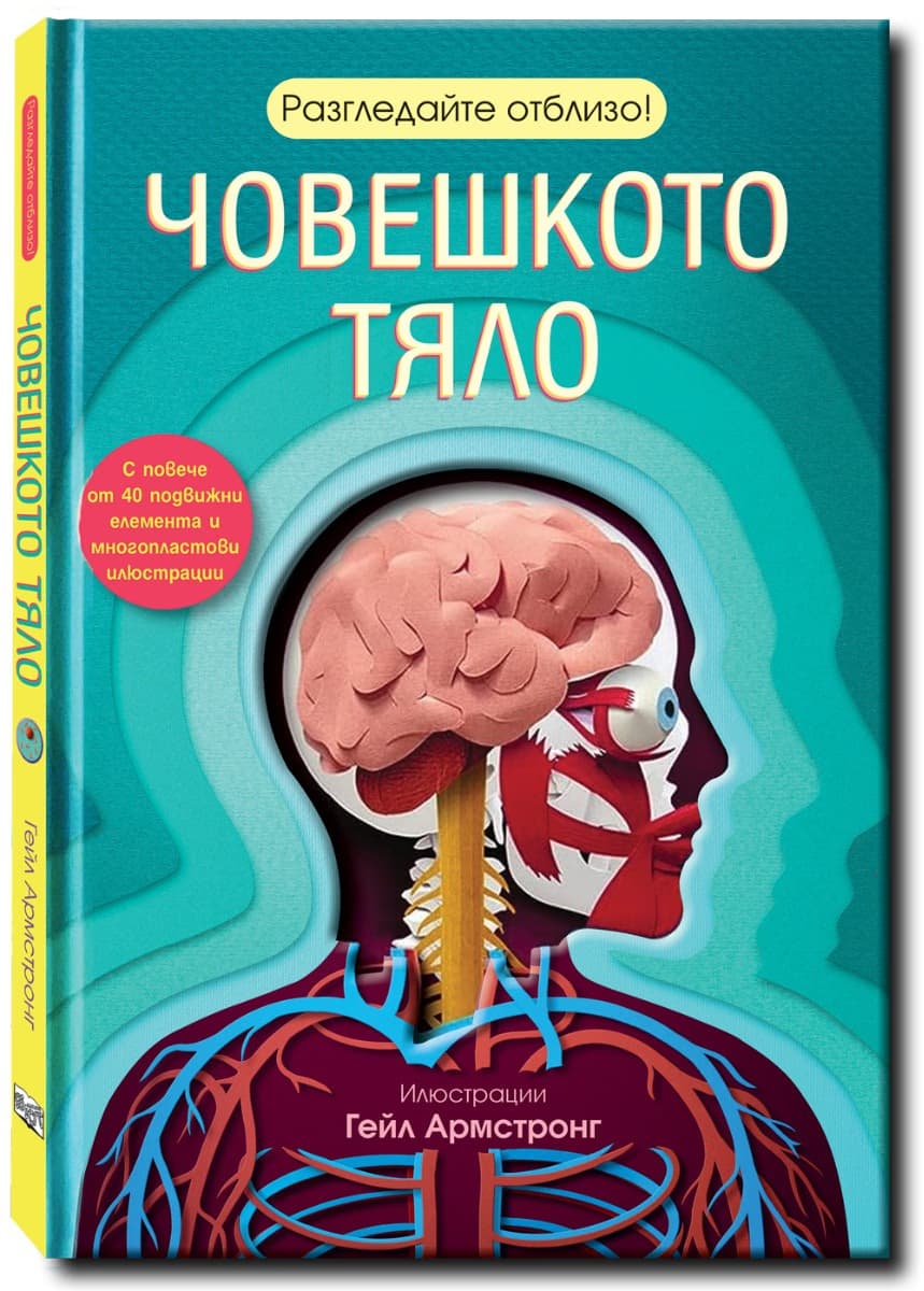 Корица на „Разгледайте отблизо: Човешкото тяло" — Рут Саймънс