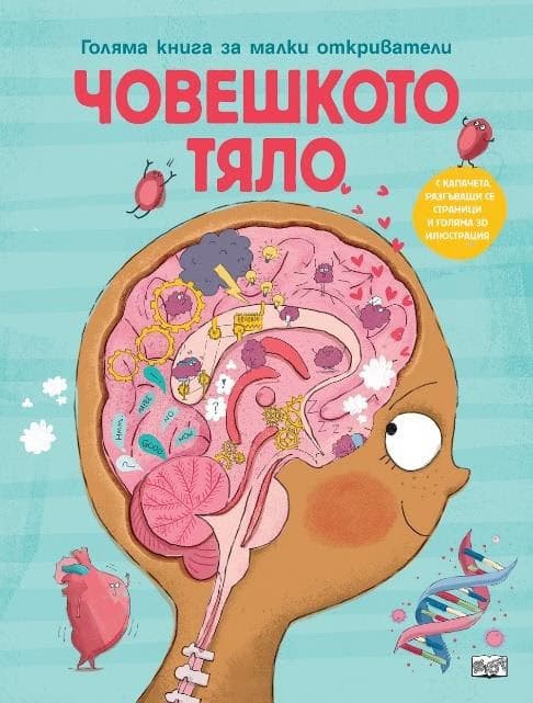 Корица на „Човешкото тяло. Голяма книга за малки откриватели" — Аня Деломберт