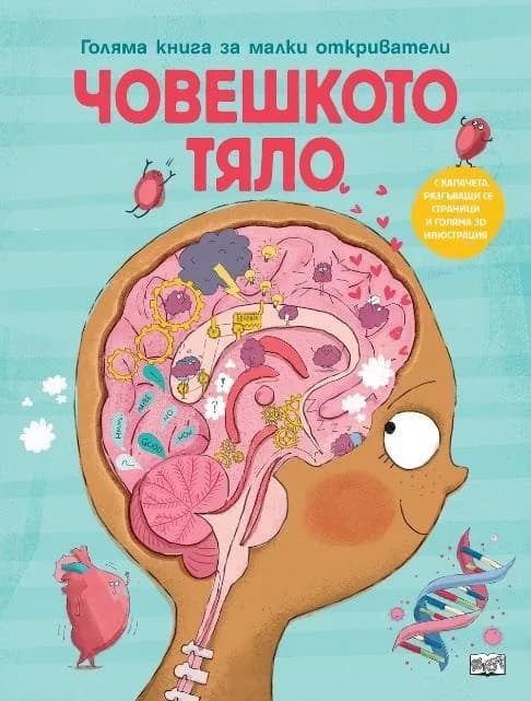 Корица на „Човешкото тяло. Голяма книга за малки откриватели“, Аня Деломберт