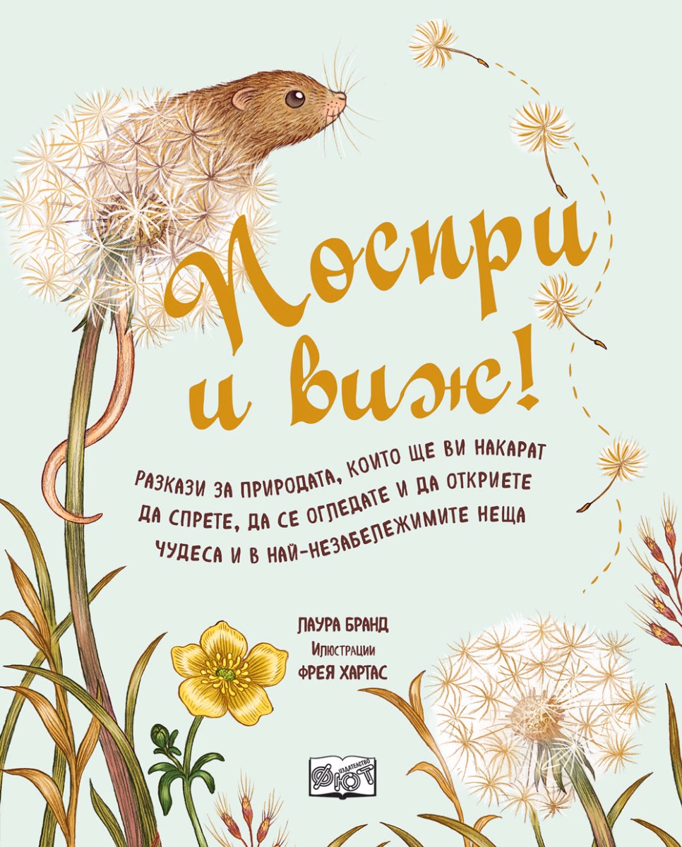 Корица на „Поспри и виж!" — Лаура Бранд