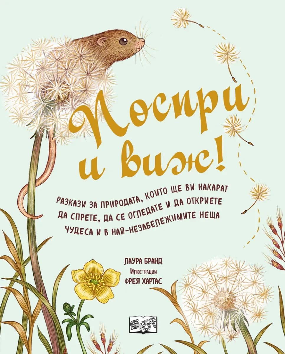 Корица на „Поспри и виж!“, Лаура Бранд
