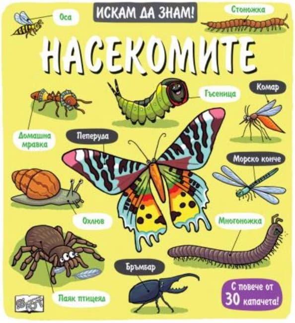 Корица на „Искам да знам! Насекомите"