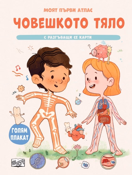 Корица на „Моят първи атлас: Човешкото тяло"