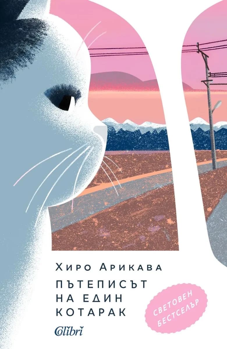 Корица на „Пътеписът на един котарак“, Хиро Арикава