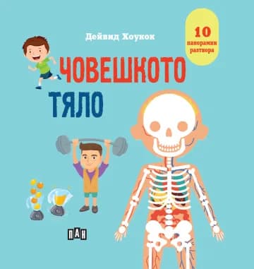 Корица на „Панорамна книжка: Човешкото тяло“, Дейвид Хоукок