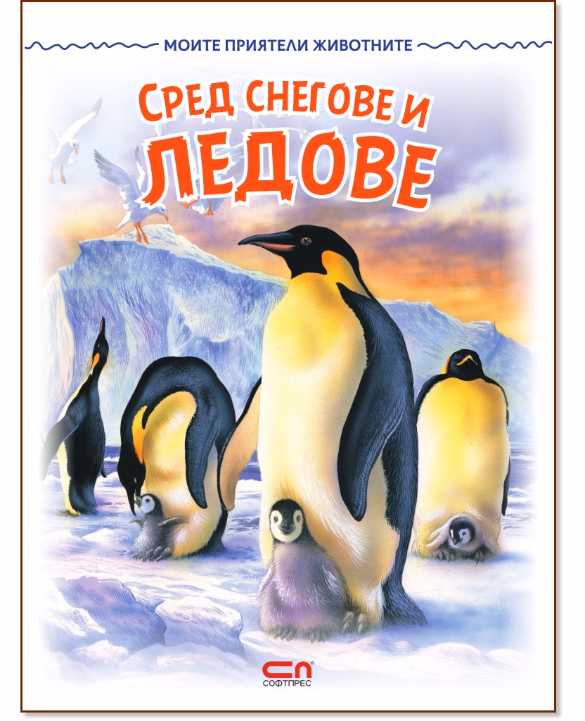 Корица на „Сред снегове и ледове"